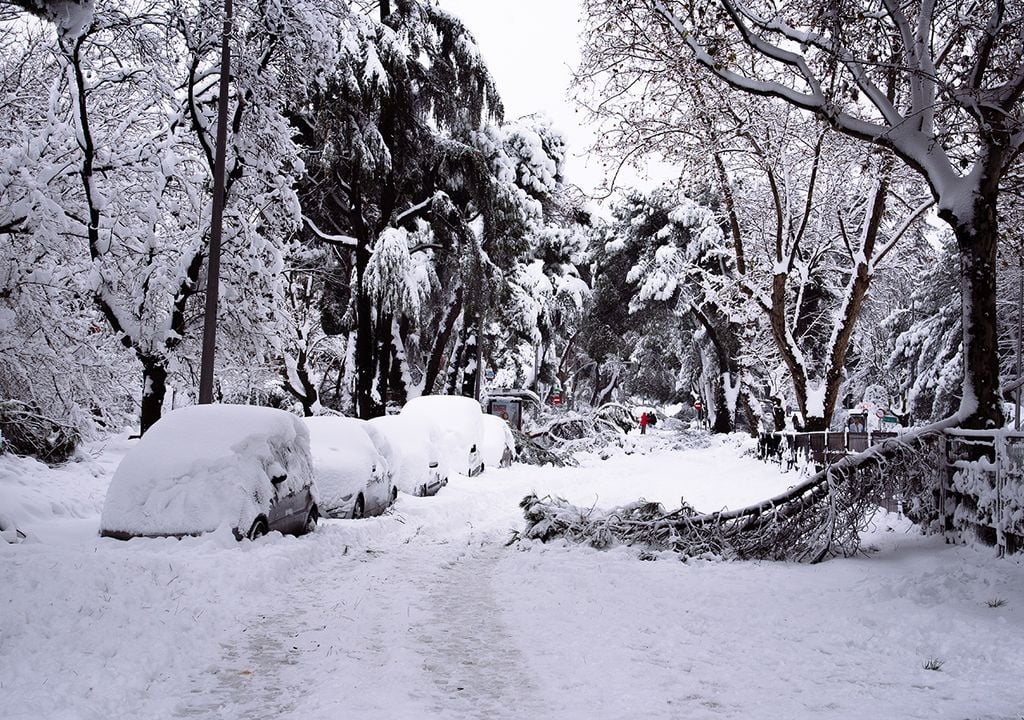 Nieve de Filomena en Madrid