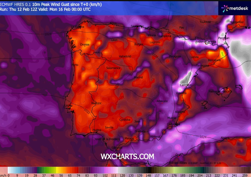 Rachas máximas previstas y acumuladas hasta el 16 de febrero de 2026 00 UTC, en km/h y según escala de colores. ECMWF / WXCHARTS