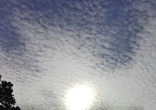 Borregos en el cielo, agua en el suelo