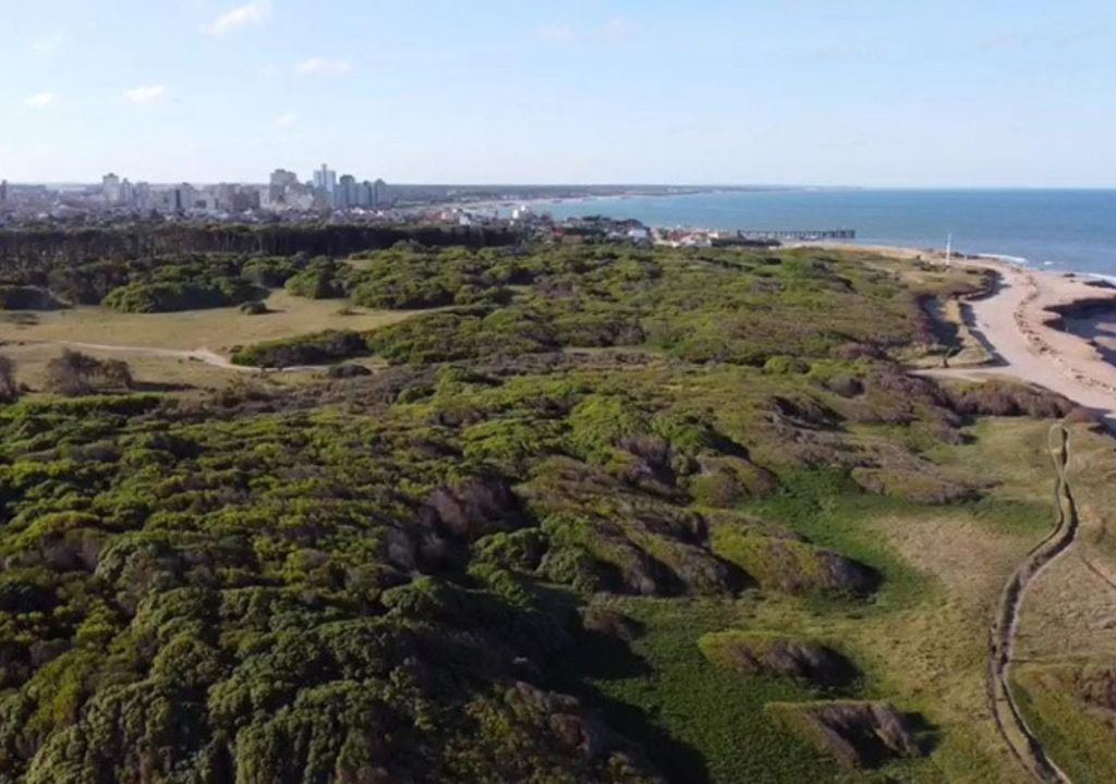 Bosque Energético de Miramar