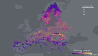 Los bosques europeos est&aacute;n perdiendo m&aacute;s biomasa desde 2018 y almacenando menos CO2