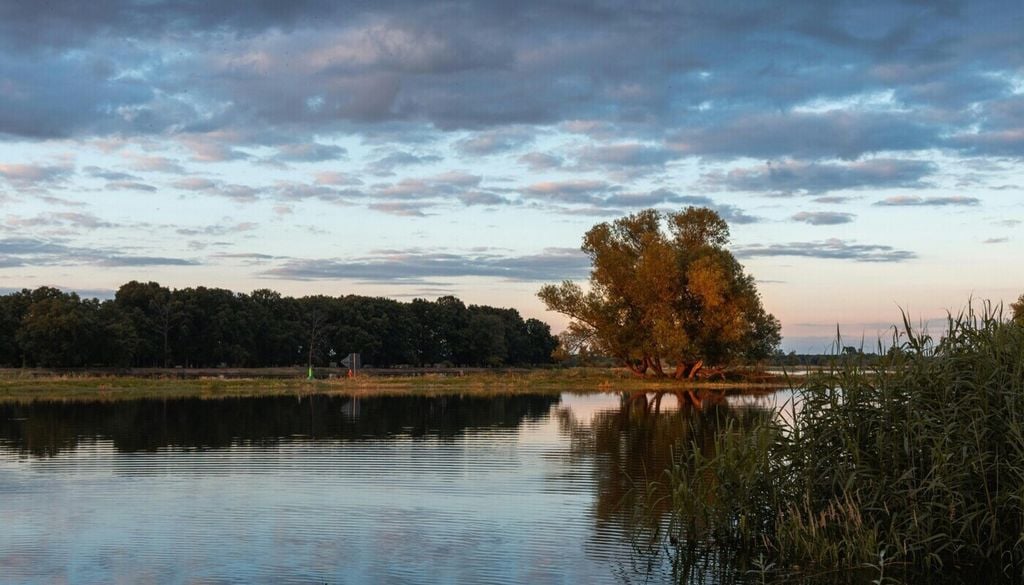 Wissenschaftler haben für ihre Studie untersucht, wie sich natürliche Senken auf Oberflächengewässer und Grundwasser auswirken. Wissenschaftler haben für ihre Studie untersucht, wie sich natürliche Senken auf Oberflächengewässer und Grundwasser auswirken. Bild: Nadine Redlich/Unsplash