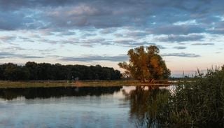 Brandenburgs Wasser retten: K&ouml;nnen nat&uuml;rliche Senken Grundwasser und B&auml;che langfristig st&auml;rken?