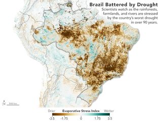 Brasil afectada por la sequía: la peor en un siglo
