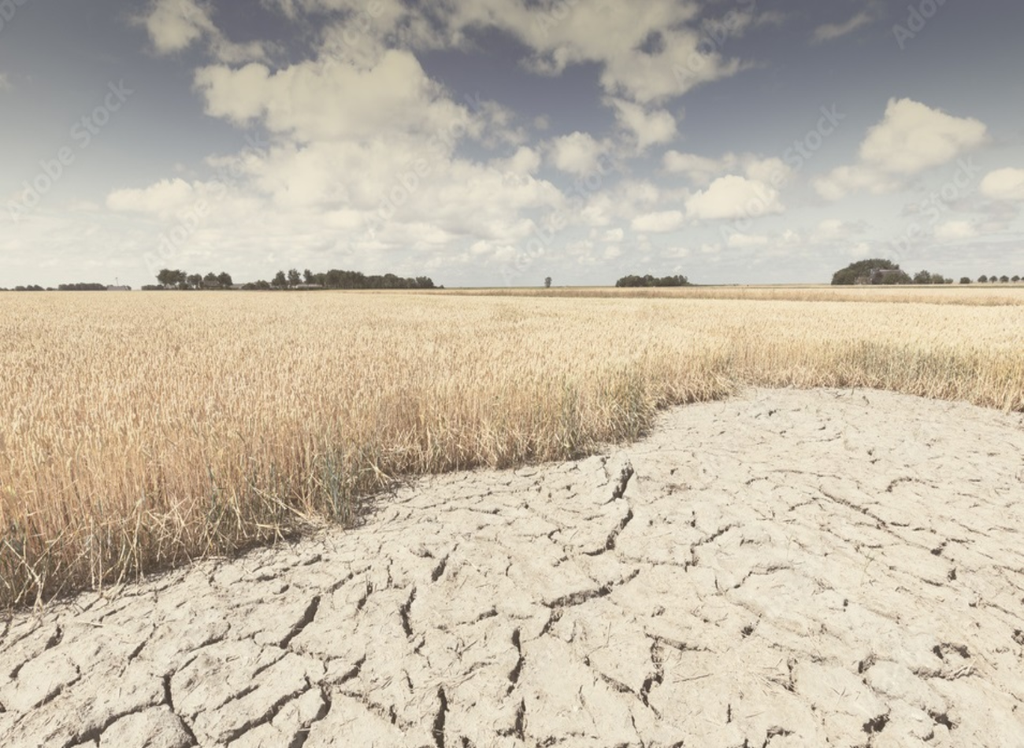 calor, seca, plantação