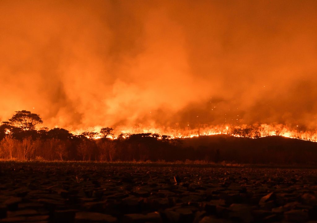 3 milhões de hectares foram destruídos por queimadas nos últimos três meses.