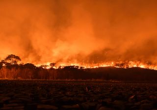 Brasil em decadência: queimadas, calor recorde, seca histórica e pior qualidade do ar do mundo