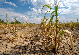 Brasil está entre as 10 regiões com mais secas no mundo