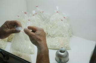 Brasil lidera com nova lei de bioinsumos: avanços para a agricultura e o meio ambiente
