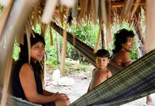 Brasil lidera n&uacute;mero de povos isolados, mas h&aacute; lacunas na prote&ccedil;&atilde;o