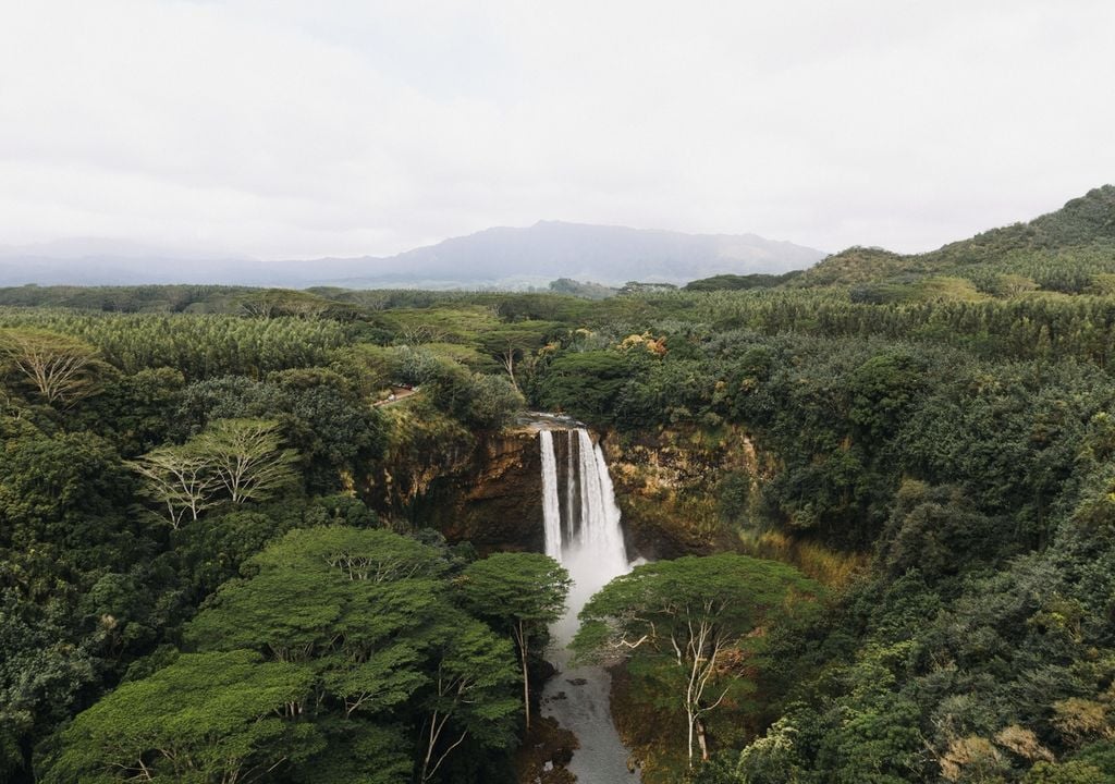 O Brasil precisa lidar com dilemas ambientais e políticos para liderar a Cop30. Foto: Freepik O Brasil precisa lidar com dilemas ambientais e políticos para liderar a Cop30. Foto: Freepik