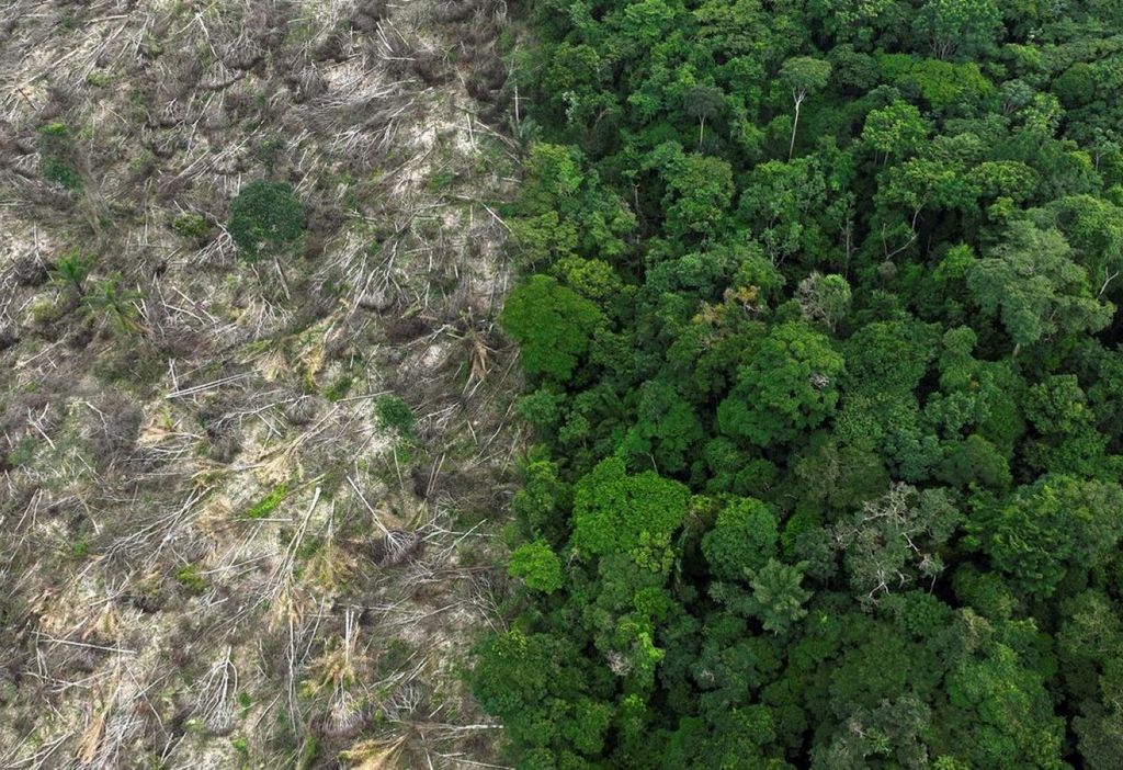 Área desmatada no bioma Amazônia mostra contraste entre vegetação nativa e solo exposto. Em 40 anos, Brasil perdeu mais de 111 milhões de hectares de áreas naturais, segundo o MapBiomas.
