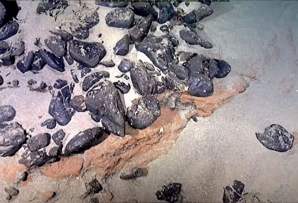 Imágenes tomadas con un vehículo no tripulado muestran un cañón que corta el Rio Grande Rise. Crédito: Luigi Jovane/USP Imágenes tomadas con un vehículo no tripulado muestran un cañón que corta el Rio Grande Rise. Crédito: Luigi Jovane/USP