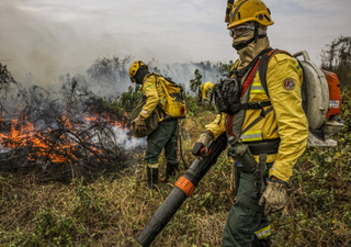 Brasil registra queda histórica no número de queimadas com menor índice em 12 anos, segundo o INPE