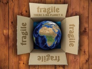 Brasiliens später Plan B im Kampf gegen die Erderwärmung