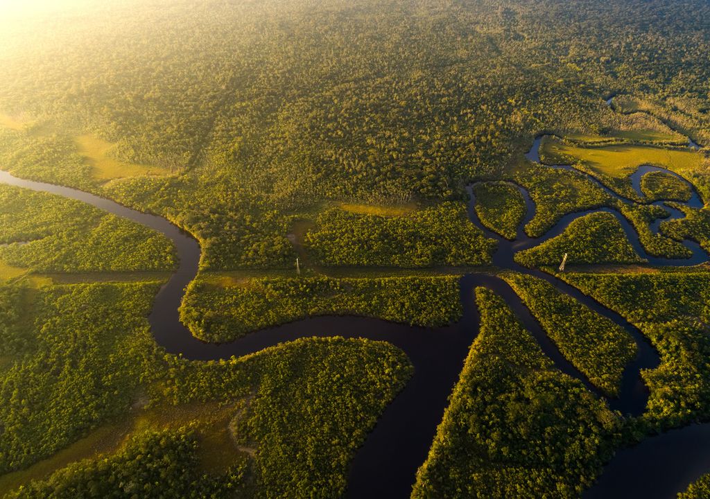 Amazonie brésilienne