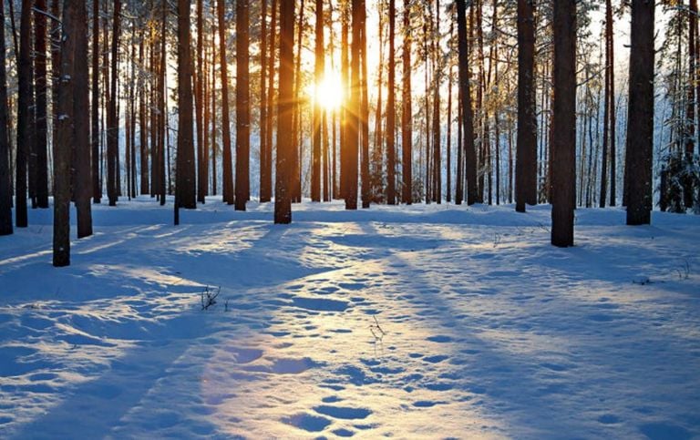 Breve análisis del invierno 2017 2018 en México