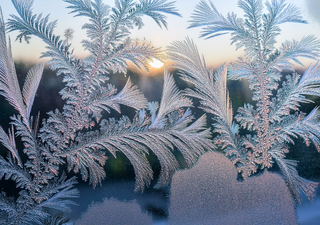 ¿Breve calma antes de intenso frío en México? Tendencias meteorológicas para el día de la Virgen de Guadalupe