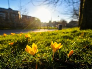 Breve repunte de temperaturas durante este fin de semana