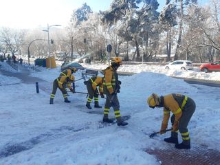 Brigadas de Refuerzo de Incendios Forestales para limpiar Madrid