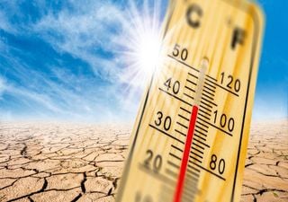 Bringt El Niño Deutschland zukünftig einen heißen und trockenen Extremsommer?