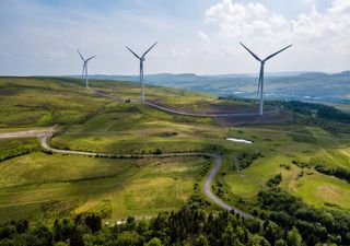 Britain’s 2023 bad weather boosts wine harvests and wind energy