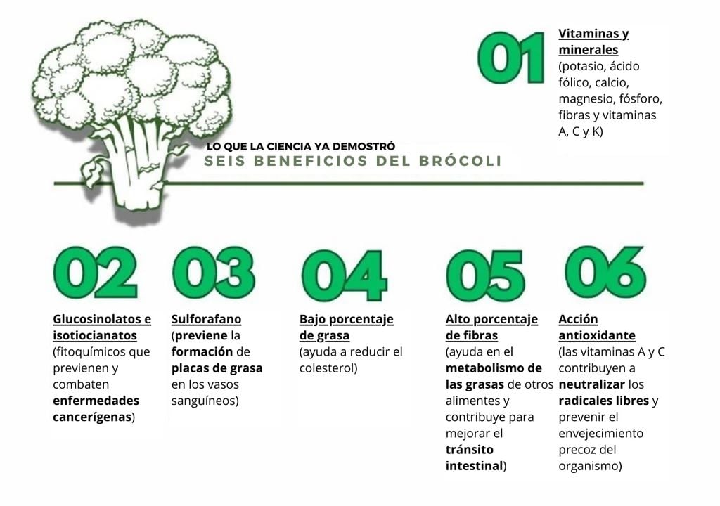 Seis beneficios del brócoli Seis beneficios del brócoli