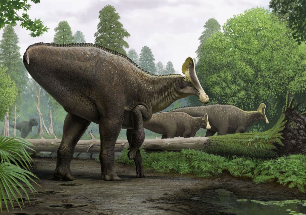 Broken bone led to dinosaur death 68 million years ago