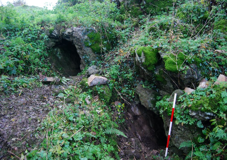 Dentes da Idade do Bronze de uma gruta irlandesa escondem segredos sobre a cárie dentária atual