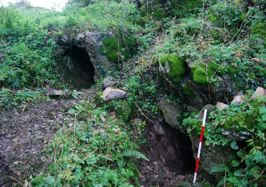 In einer Höhle in Killurag, Irland, wurden Skelettreste gefunden, die sich als eine Fundgrube für Informationen entpuppten.