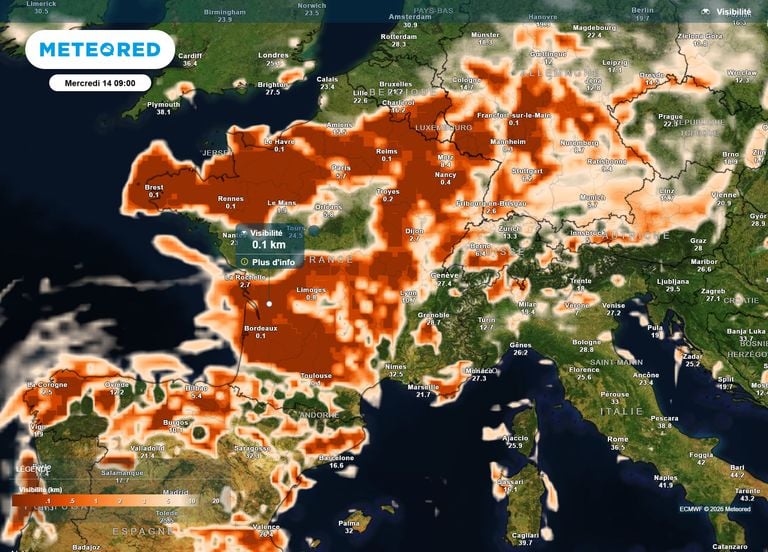 Brouillards et grisailles en France ce mercredi : voici les r&eacute;gions o&ugrave; le soleil appara&icirc;tra le plus tard