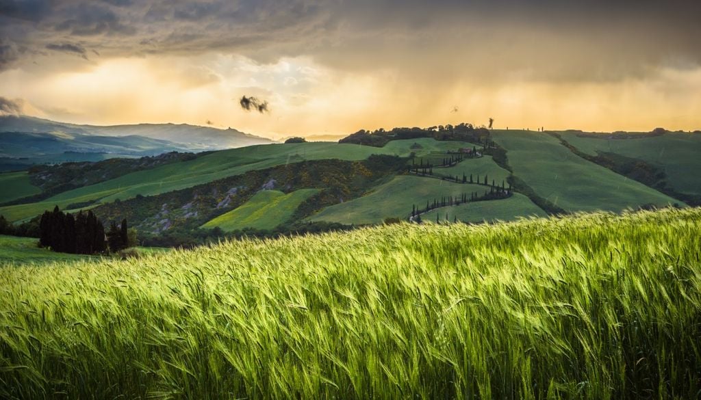 Nella prossima settimana il regime termico continuerà ad oscillare, passando da brevi fasi sopra media a momenti anche più freschi della media, mentre la piovosità si manterrà su livelli abbastanza significativi, specialmente al Nord e sui versanti tirrenici.