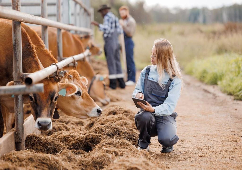Mulher agricultora Mulher agricultora