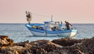 Bruxelas aperta o cerco a Portugal: morre um golfinho por dia nas redes de pesca e o caso pode acabar no tribunal
