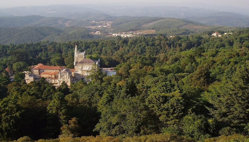 Palácio e Mata Nacional do Buçaco A Mata do Buçaco é a primeira floresta terapêutica da Península Ibérica. Foto: Edescas2, CC BY-SA 3.0, via Wikimedia Commons