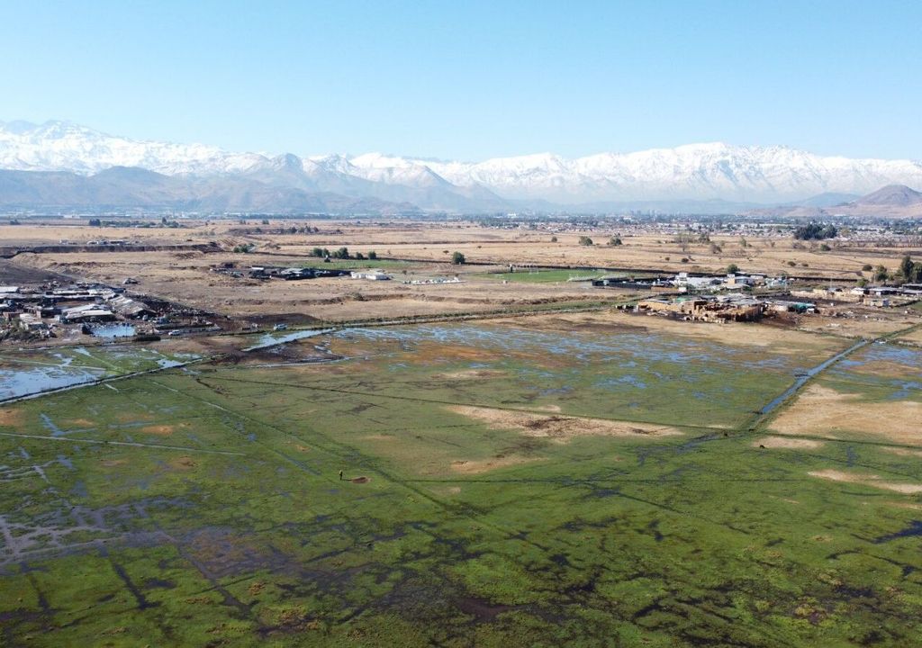 Humedal de Quilicura