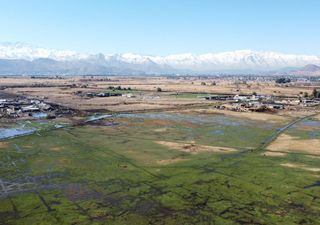 ¡Buenas noticias para la biodiversidad! Quilicura celebra la protección de su humedal urbano