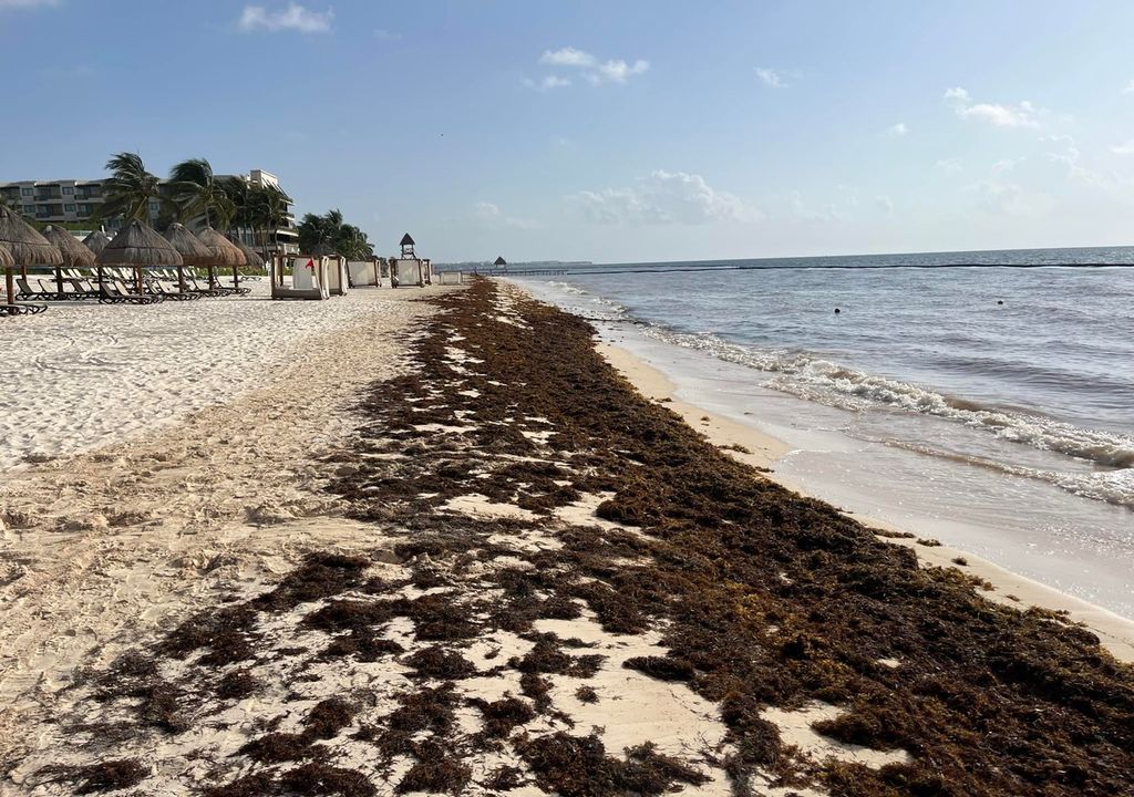 Quintana Roo Quintana Roo