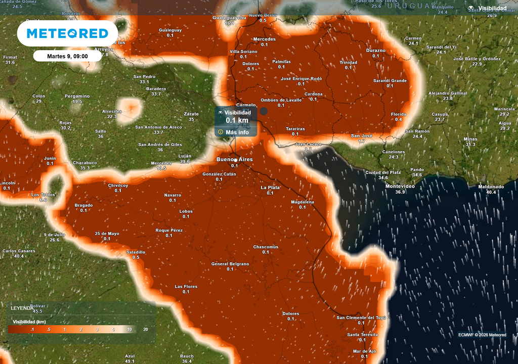 Visibilidad__Martes 9 de Junio a las 9 h. El martes podríamos volver a tener en AMBA nieblas y neblinas con notable efecto en la visibilidad.