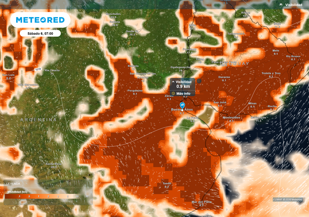 Visibilidad según el modelo ECMWF para el sábado 6 de Junio a las 7 h en Buenos Aires.