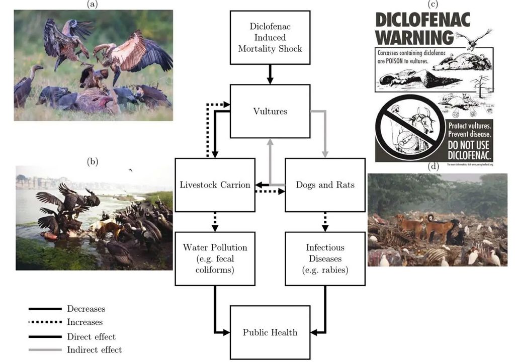 Relación esquemática