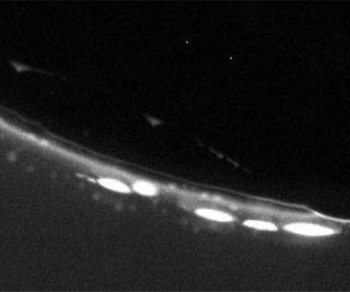 Burbujas de gas en los poros de rocas: vivero de vida primigenia