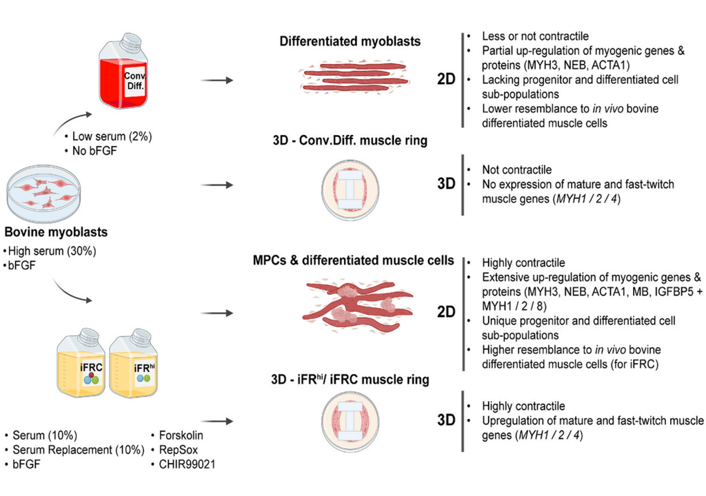 Zusammenfassung der Studienergebnisse