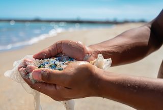 Bürgerforschende suchen Mikroplastik entlang der deutschen Küsten