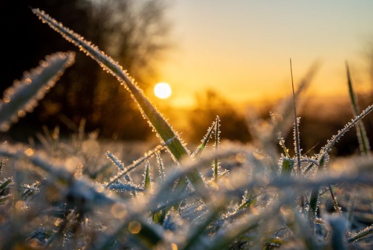 Solstizio d&rsquo;inverno e Natale, un legame profondissimo: sono i giorni in cui &ldquo;ritorna la luce&rdquo;