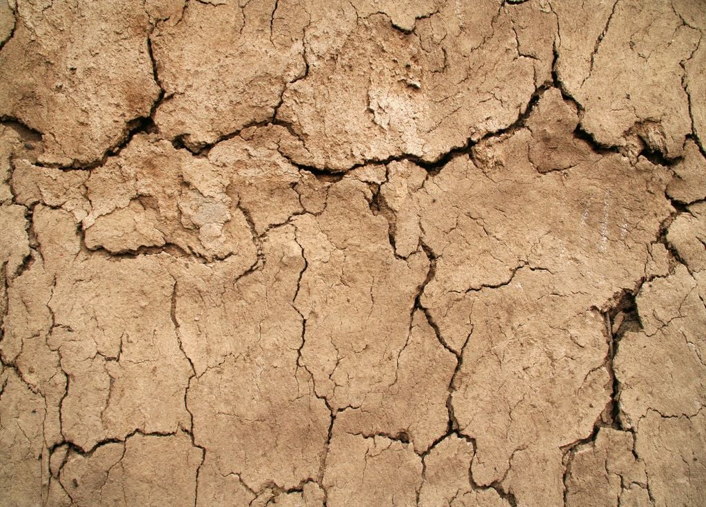 Records de chaleur pour la planète en 2025, avec des conséquences qui pourraient durer des décennies.