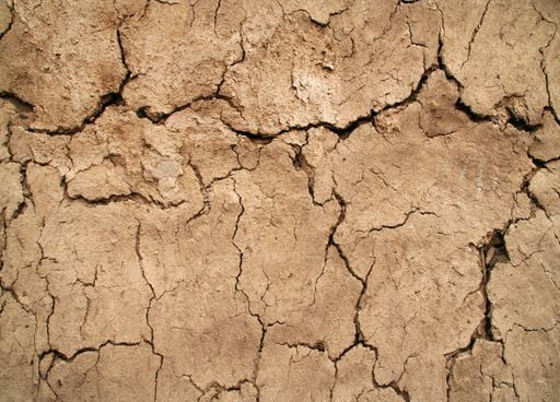 C'est confirm&eacute; par l'ONU, notre plan&egrave;te a accumul&eacute; une chaleur record en 2025. Quelles cons&eacute;quences pour l'humanit&eacute; ?