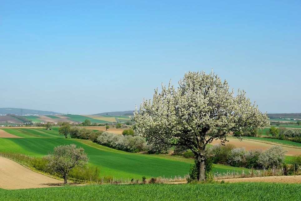 Retour de l'été Retour de l'été