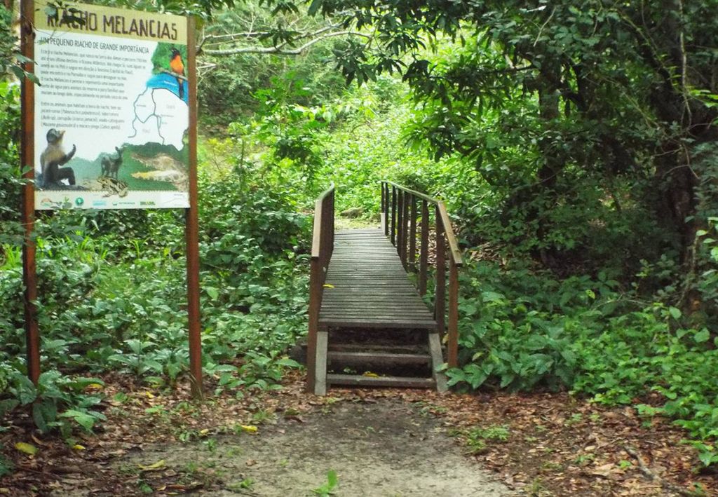 Trilha da Gameleira, na Reserva Natural Serra das Almas (Ceará).