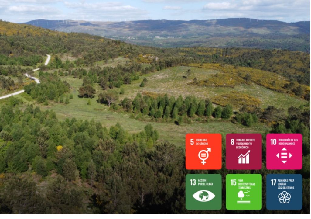 Reforestación en Carballedo, España Reforestación en Carballedo, España